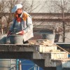 delavec_sal2000_23.10.12.jpg