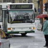avtobus-lpp_bobo.jpg