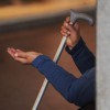 brezdomec_berac_bobo_10.12.12.jpg