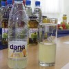dana_003.jpg