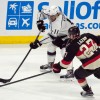 anze kopitar re.jpg