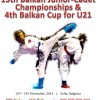 z_karate_01.jpg