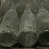 vino ptujska klet.jpg