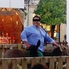 moški, osel, cordoba.jpg