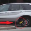 bmw lisica.jpg