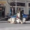 konj, ulica, jagodina.jpg