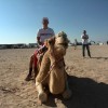 katar_03.jpg