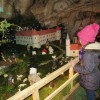 img_0878_27_1_000.jpg