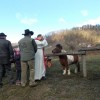 vranje_11.jpg