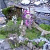 pohod_026.jpg