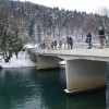 px017579_000.jpg