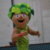 img_2779.jpg