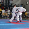 z_karate_14.jpg