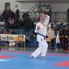 z_karate_07.jpg