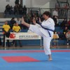 z_karate_06.jpg