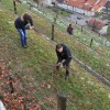 grajskatrta_048.jpg