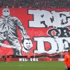 Steven Defour banner.jpg