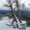 20150124_120724.jpg