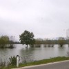sava_poplava.jpg