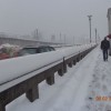 sneg_011.jpg