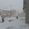 sneg_015.jpg