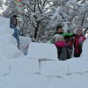 img_1866_15_1_000.jpg