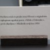 pavcek18.jpg