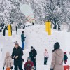 20150207_grad_gricek_202.jpg