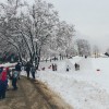 20150207_grad_gricek_1_2.jpg