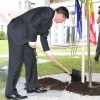 pahor_lipa.jpg