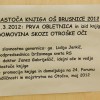 brusnice10.jpg