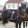 img_2269_25_1_000.jpg