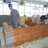 projektni_15.jpg