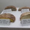 kruh08.jpg