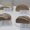 kruh05.jpg