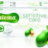 paloma2.jpg