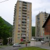 hrastnik log