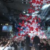 aktual koncert dan žena tony