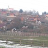 trska_gora.jpg