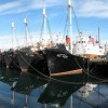 islandija, ribištvo.jpg