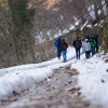 mladinska_izmenjava_winter_jobs__7_.jpg