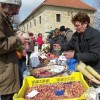 gregorjev_sejem_039.jpg