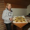 img_3749_23_1_000.jpg