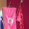 konji08.jpg