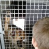 veterinarska_postaja___06.jpg