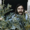 Norman Greenbaum.jpg