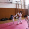 z_karate_01.jpg