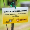 cebele_002.jpg