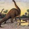 Brontozaver, dinozaver.jpg