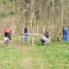 t_cistilna_22.jpg